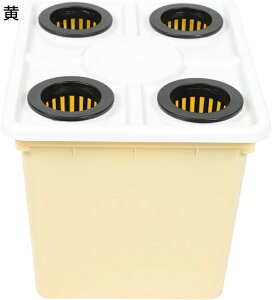 koPcȎUv^[c̓ÃX^[^[gCs[g|bg~jLbgF