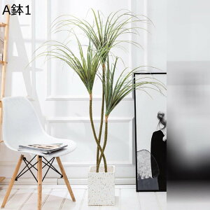 tFCNO[ L  A lHϗtA CeAO[ lHt ^Ηt { ͂ȂO[ ϗt ϗtA ͂Ȃ sv K[f   