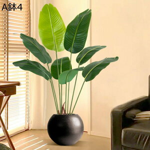 tFCNO[ Xe̗t ͂ȂO[ A lHt ^ A ͂ȂO[ lHϗtA { lHA ϗt sv  LO  M