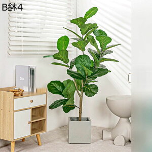 tFCNO[ Xe̗t A lHt ^ A CeAO[ ~͐A lHϗtA { ϗtA ϗt lHA ͂Ȃ Be  a 