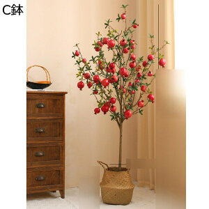 tFCNO[ ʕ UN ԃJS ϗt A CeAO[ A { ^ ϗtA lHʕ lHA Q쏜sv k ins  rO[ 