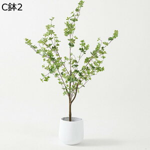 tFCNO[ hE_ccW KW} ԃJS lHϗtA CeAO[ A { ^ ^Ηt ϗt ϗtA Q쏜sv k A[g ins   p