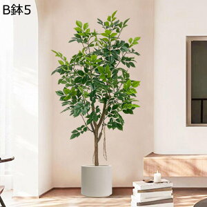 lHϗtA A KW} ͂ȂO[ { CeAO[ tFCNO[ ^ ȒPb炸 lHt lHA ϗt 蕨 v[g 