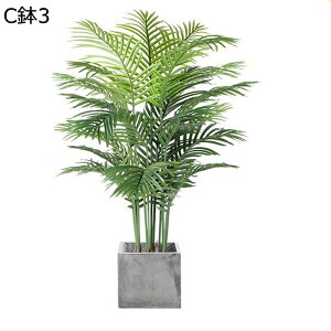 lHϗtA A AJV lHt { CeAO[ ͂ȂO[ tFCNO[ ^ ȒPb炸 ϗtA lHA K[f K[fjO 