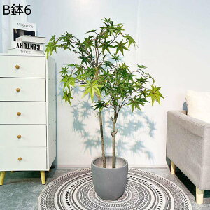 lHϗtA A ݂ ~W CeAO[{ CeAO[ tFCNO[ ^ ȒPb炸 lHt lHA ϗt 蕨 v[g 