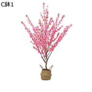 tFCNO[   ͂Ȃ tFCN CeAO[ A A { ^ ^Ηt lHA ϗt sv k ins    p