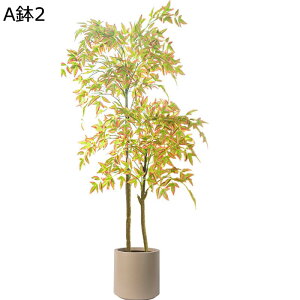 tFCNO[ ie A lHt ^ lHϗtA { A ϗtA ϗt sv f[ K[fjO v[g  /O K[fj