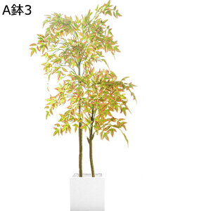 tFCNO[ ie A lHt ^ lHϗtA { A ϗtA ϗt sv f[ K[fjO v[g  /O K[fj