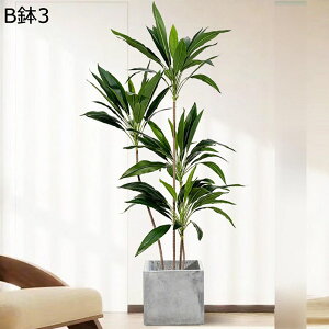 tFCNO[  A Mъϗt hZi lHϗtA CeAO[ lHt ^Ηt { ϗtA ϗt lHA ͂Ȃ sv A 