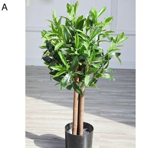 tFCNO[ ͂ȂO[ A KW} {[ lHϗtA CeAO[ lHt ^Ηt { ϗt sv CeA EFfBO x