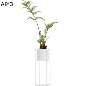 lHϗtA AJV A V_ ͂ȂO[ { CeAO[ tFCNO[ ^ bsv ϗtA lHt lHA  뉀 iX K[f