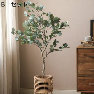 tFCNO[ KW} ԃJS A lHϗtA CeAO[ ^ { ͂ȂO[ ϗt lHt bsv fR[V t[ A 