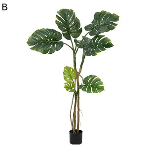 tFCNO[ A lHt Xe̗t ACr[ ^ lHϗtA { ϗt bsv X /O z[K[f p[eB[  Be fR