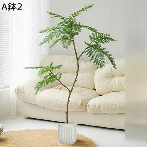 lHϗtA AJV A { CeAO[ tFCNO[ ^ Q쏜sv ͂ȂO[ lHA ϗt ϗtA CeA EFfBO x