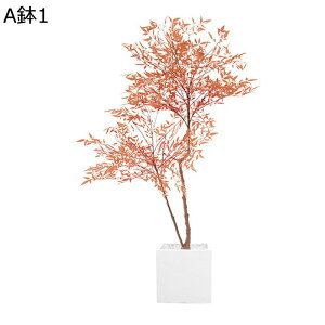 tFCNO[ ie A lHϗtA CeAO[ lHt ^Ηt { ϗtA ϗt bsv ͂Ȃ fR[V A  K[fj