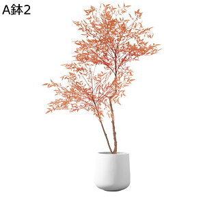 tFCNO[ ie A lHϗtA CeAO[ lHt ^Ηt { ϗtA ϗt bsv ͂Ȃ fR[V A  K[fj