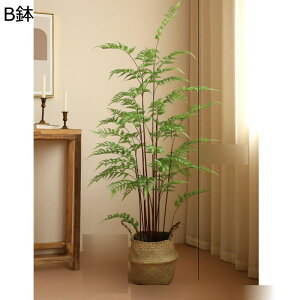 lHϗtA A AJV { CeAO[ ͂ȂO[ tFCNO[ ^ ȒPb炸 lHA ϗt ϗtA CeA EFfBO x