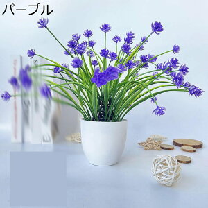 ԃZbg ԃCeA A JX~\E ͂Ȃ  ϗtA A { bsv ~jԊ k A[g ins hV̓ j  Mtgԑ z[K[f