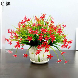  ͂Ȃ JX~\E ԃCeA ϗtA  ԑA { ԕrt lHA ϗtA ȒPb炸  _ k u 蕨 ʐ^Be