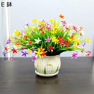  ͂Ȃ JX~\E ԃCeA ϗtA  ԑA { ԕrt lHA ϗtA ȒPb炸  _ k u 蕨 ʐ^Be