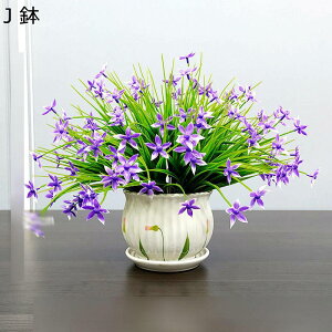  ͂Ȃ JX~\E ԃCeA ϗtA  ԑA { ԕrt lHA ϗtA ȒPb炸  _ k u 蕨 ʐ^Be