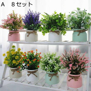  ͂Ȃ JX~\E x_[ ۂ ԃCeA ϗtA  ԑA { ԕr lH lHA k ins p[eB[ ItBX 蕨 K[f