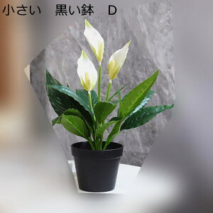 ԃZbg ԃCeA |gX 񂵂 ݑ ԑ ͂Ȃ  ϗtA A { sv ~jԊ  _ k hV̓ j 