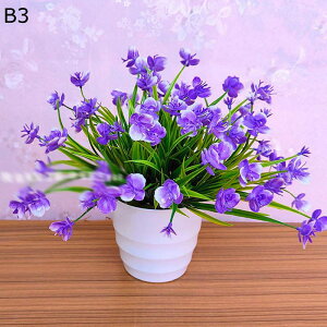 lHA  ͂Ȃ ϗtA A ԃCeA A { ~jԊ  _ k   X iX K[f u 蕨 ʐ^Be