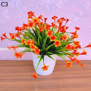 lHA  ͂Ȃ ϗtA A ԃCeA A { ~jԊ  _ k   X iX K[f u 蕨 ʐ^Be