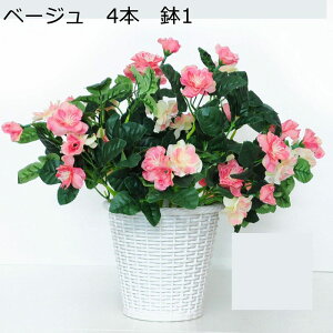  ͂Ȃ ԃCeA o XYmL ϗtA  A { ~jԊ lHA ϗtA ͂ȂO[ k ins 蕨 v[g p 