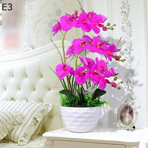 Ӓ  ͂Ȃ A ԃCeA ϗtA  ԑ A { ԕr ͂Ȃ k ins  ̓ CeA 蕨 x_  ]