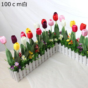 ԃZbg ԃCeA `[bv  ͂Ȃ  ϗtA A { ͂Ȃ p[eB[̌ z[K[f =k ins   Mtg