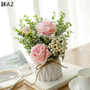 ԃZbg ԃCeA o }[Kbg  ԑ ͂Ȃ  ϗtA A { sv ~jԊ k ins  蕨 v[g p  u