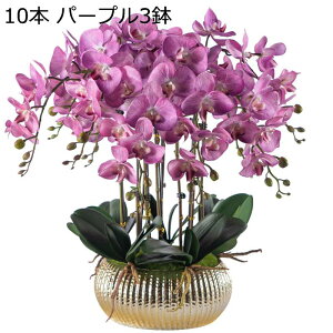 Ӓ  ͂Ȃ ԃCeA ϗtA  ԑA { ~jԊ ϗtA lH sv k ins  p[eB[ ItBX 蕨 K[f