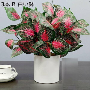  |gX ԃO[ lHt  tFCN A { ԕr ͂ȂO[ k A[g ins z[ Be p[eB[ ItBX 蕨 CeA