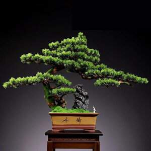 tFCNO[  CeAO[ ͂ȂO[ Ηt u  A lHϗtA { ϗtA lHt bsv ͂Ȃ /O z[K[f