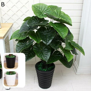 tFCNO[ ͂ȂO[ o lHϗtA CeAO[ Xe̗t A { ^Ηt lHA ϗtA k A[g ins rO[ 