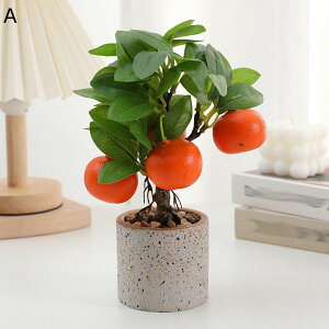 tFCNO[ ~j ʕ A CeAO[ A { ϗtA lHA sv Q쏜sv X /O z[K[f p[eB[̌