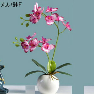  ͂Ȃ ~j Ӓ o x_[ ԃCeA ϗtA  A { ԕrt lH Q쏜sv  _ k ItBX 蕨 K[f