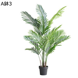 AJV tFCNO[ ^Ηt A CeAO[ lHϗtA { ϗtA lHA ϗt bsv ͂ȂO[ /O z[K[f