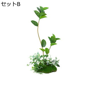 tFCNO[ A lHt ͂ȂO[ ^ lHϗtA { lHA ϗt CeAO[ X /O z[K[f p[eB[̌