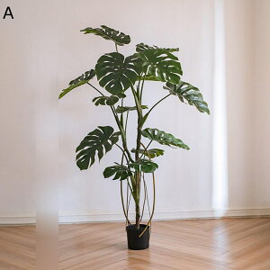 tFCNO[ A Xe̗t lHt lHϗtA CeAO[ ^ { ϗtA lHt lHA ͂Ȃ sv p[eB[̌