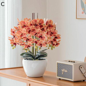 ԃZbg ԃCeA Ӓ A ͂Ȃ  A[gt[ ϗtA A { ȒPb炸 ԕrt k ins  hV̓ j  Mtg