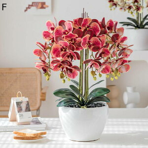 ԃZbg ԃCeA Ӓ A ͂Ȃ  A[gt[ ϗtA A { ȒPb炸 ԕrt k ins  hV̓ j  Mtg