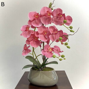  ͂Ȃ Ӓ ԃCeA ϗtA  A A { ~jԊ K[fjO A ϗtA sv k ins  u ʐ^Be