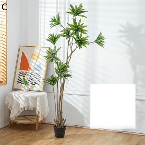 tFCNO[ A lHϗtA CeAO[ ^ { lHA ϗt lHt bsv ͂Ȃ X /O z[K[f p[eB[̌