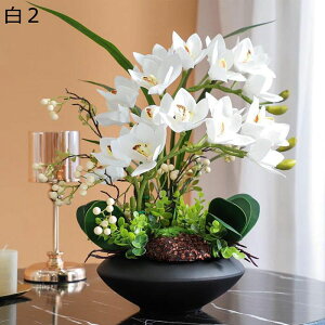  ͂Ȃ Ӓ ԃCeA A ϗtA   ԑ A { ԕrt Q쏜sv k A[g ins ̓ CeA 蕨 x_ 