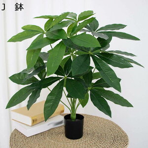 tFCNO[ A ACr[ |gX CeAO[ lHt lHϗtA { ϗt bsv ͂Ȃ X /O z[K[f p[eB[̌