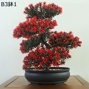 tFCNO[ ԃO[ ԃCeA A { lHϗtA CeAO[ ϗtA lHA ȒPb炸  _ k z[ Be 