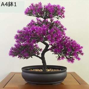 tFCNO[ ԃO[ ԃCeA A { lHϗtA CeAO[ ϗtA lHA ȒPb炸  _ k z[ Be 